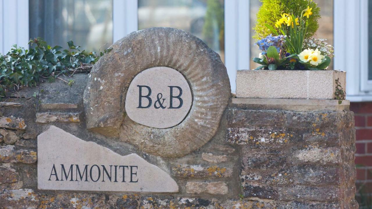 Ammonite Bed & Breakfast Corfe Castle Exterior foto